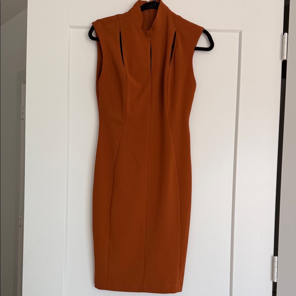 Calvin Klein Rust Orange Midi Dress